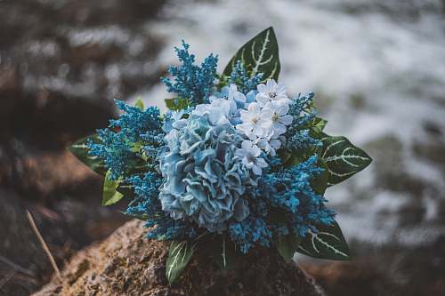 united states green and blue petaled flower bouquet madison